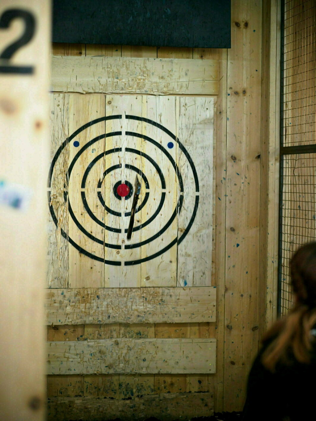 Recreation Centre Plymouth Timber Vaults Plymouth Adventure Activities